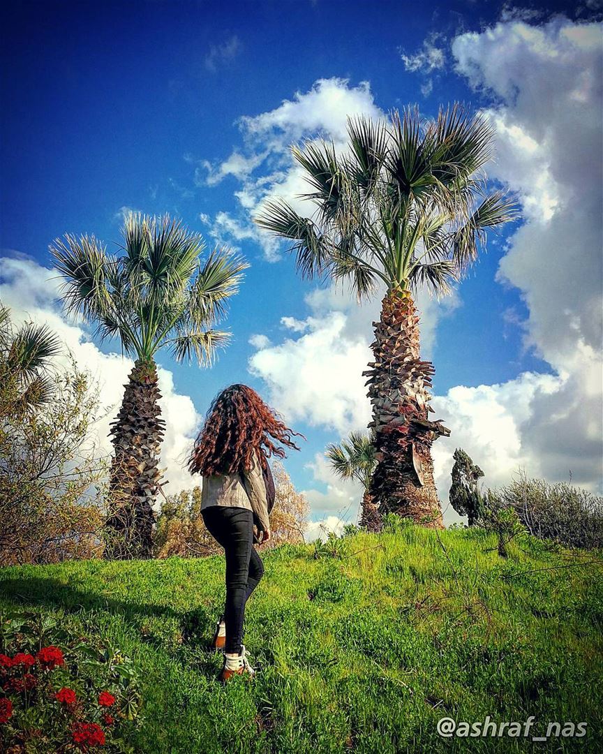 صاح بي عند الربىفي الممر الأخضرِ...بلبلٌ ملؤ الصباهاتفاً لا تكبري...كله (Tyre, Lebanon)