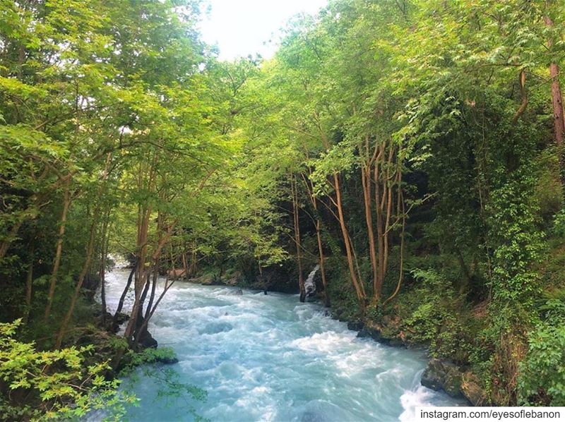 صباح الخير من الشوان - يحشوش‏Natural painting 🏞‏Credits to @chaficelhall (Chouwane Lake)