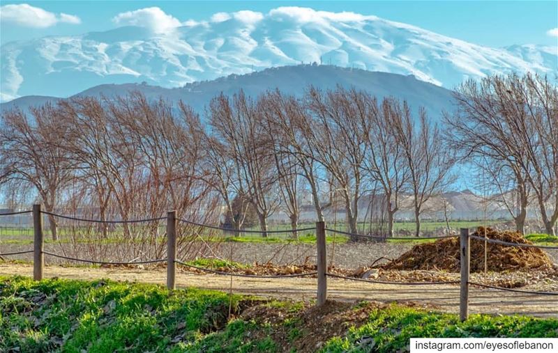 صباح الخير من تعنايل - البقاعCredits to @mahdifad・・・ lake mountains... (Taanayel- Bekaa)