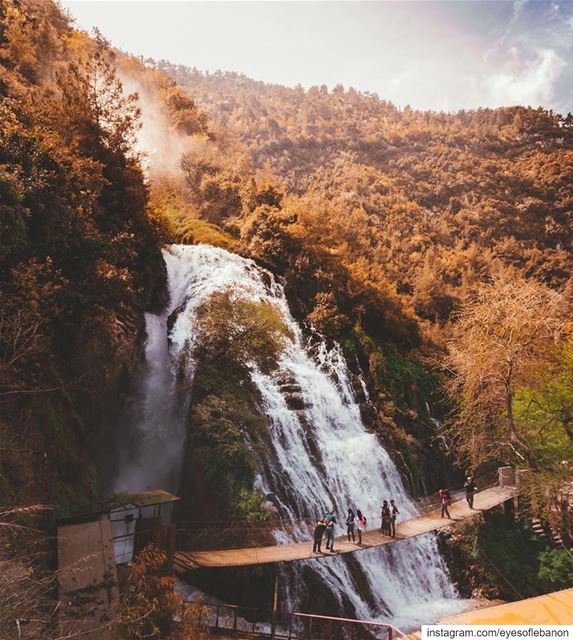 صباح الخير من عيون السمك‏Natural painting 🏞‏Credits to @surreal_k ...... (Ouyoun El Samak Waterfalls)