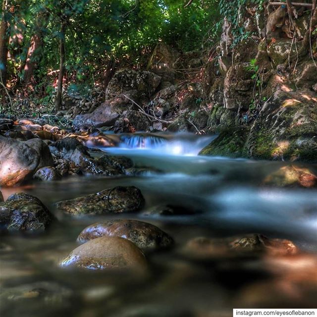 صباح الخير من نهر الجوزCredits to @e.elias.photography ・・・A hidden place... (Nahr el Jaouz)