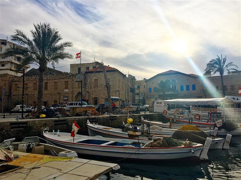 صباح الخير ☀️⛵️ livelovetyre  livelovejnoub  tyrepage  tyre ... (Tyre Fishermen Port.)