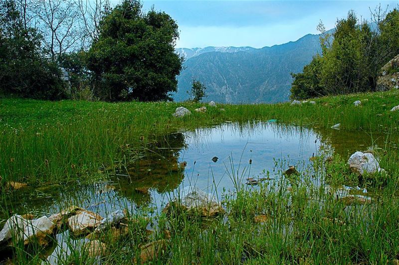  صباح_الخير  اللهم إني أسألك  خير ما في هذا  اليوم وخير ما بعده. ... (`Almat, Mont-Liban, Lebanon)