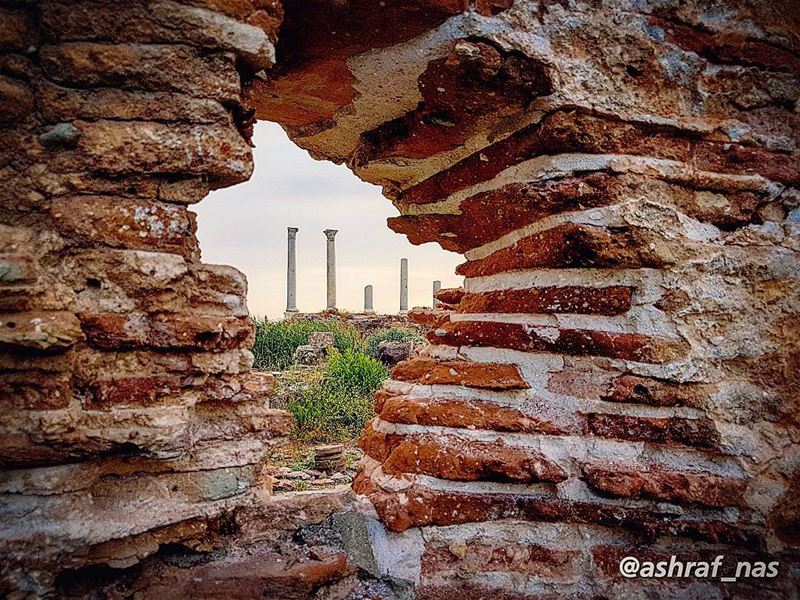 صور بطلة المدن... والكلام عليها ما له نهايةسعيد عقل - لبنان  إن حكى... (Roman ruins in Tyre)