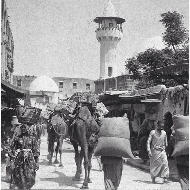 صيدا عام ١٩١٩ ،saida in 1919