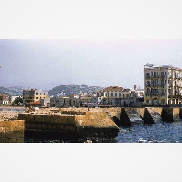 صيدا عام ١٩٥٤ ، Saida in 1954