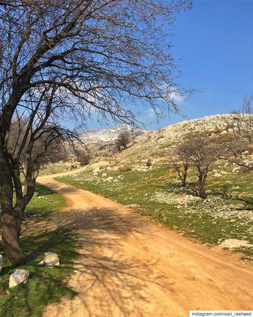 طريق النحل 🐝 (Falougha, Mont-Liban, Lebanon)