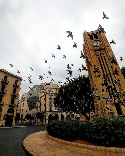 طيور و بيروت و شتي ❤By @ranim_ghass  DowntownBeirut  BeirutDowntown ... (Downtown, Beirut, Lebanon)