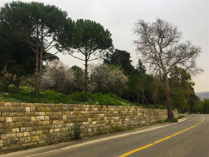 عالطريق______________________________________ lebanon  mountains ... (`Ain Trez, Mont-Liban, Lebanon)