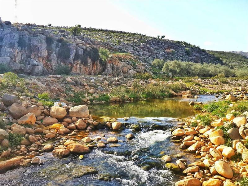 عندما تخوض حربا من اجل شيئ تأكد اولا انه يستحق ذلك 👌 📷 🍃 🌳 🌸 ... (Hasbani River- Hasbaya)