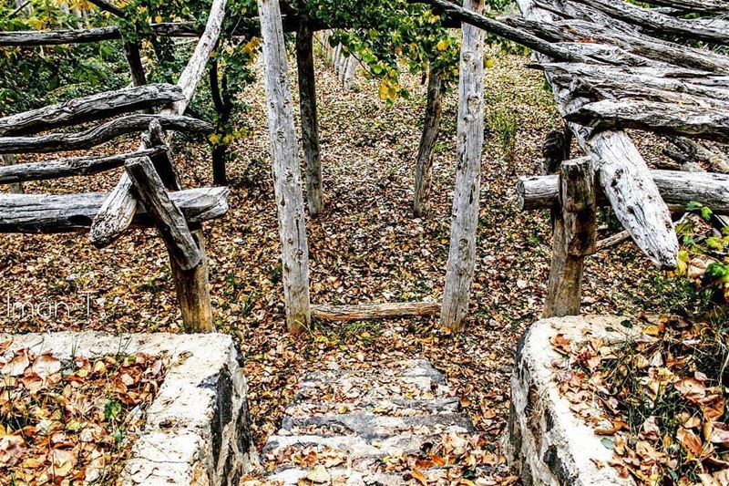 عندي حنين ...🍁Photo credits to @imantaha77 hermel  hermel_city  bekaa ... (El Hermel, Béqaa, Lebanon)