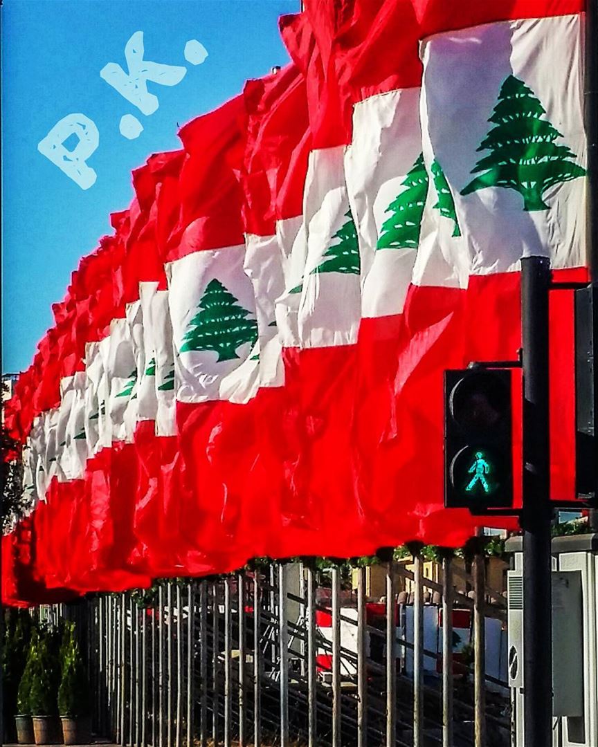  عيد  الاستقلال  لبنان  علم  happy  independence  day  lebanon  lebanese...