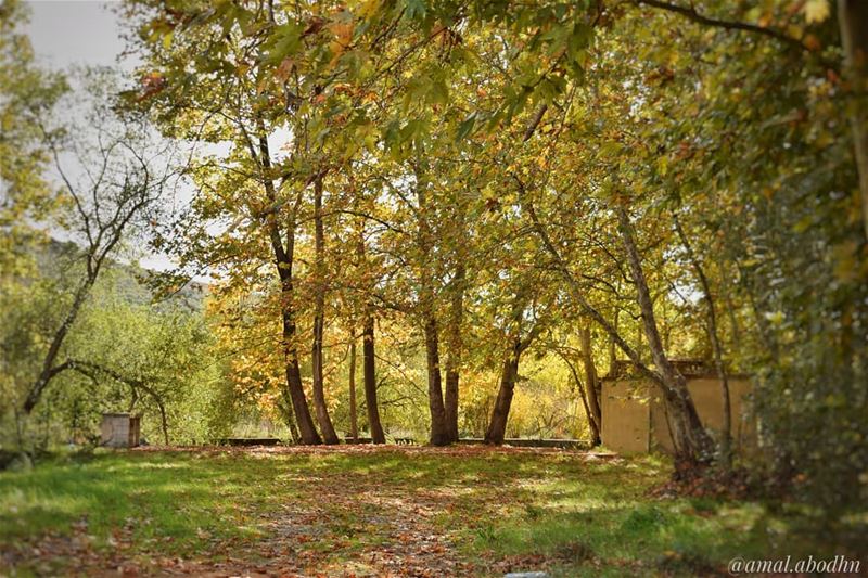 ‏"فعلٌ يُرى .. خيرٌ من ألف كلمةٍ تُقال" 👌  lebanon  photography ... (Hasbani River)