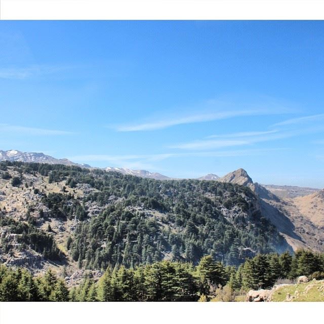 قطعة سما  lebanon  lebanese  mountain  cedars  sky  nature  instagood ...