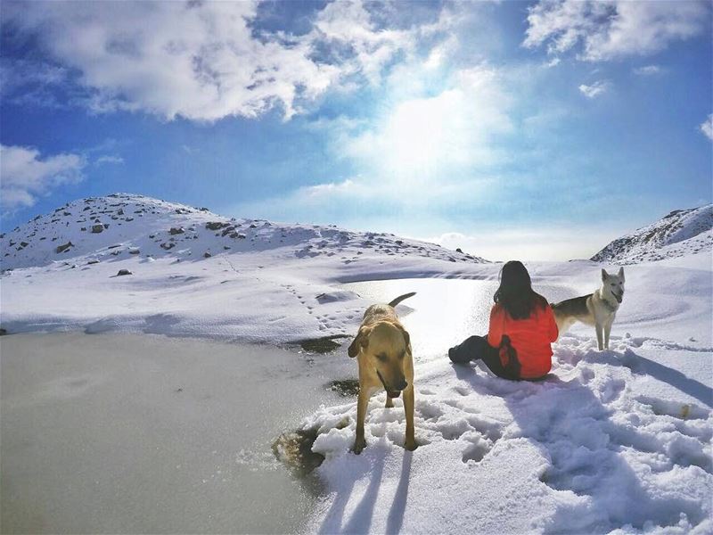 قَدّيْش كان في ناس عالبركة تنْطُر ناس (Faraya, Mont-Liban, Lebanon)