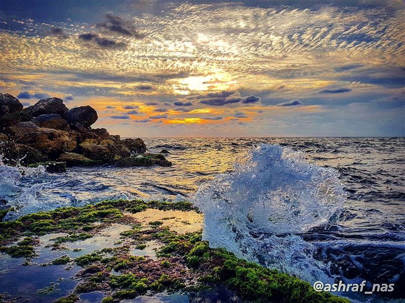 كميس الهوادج شرقيةًترش على الشمس حلوا الحدا...كدندنة البدو فوق سريرمن ال (Tyre, Lebanon)