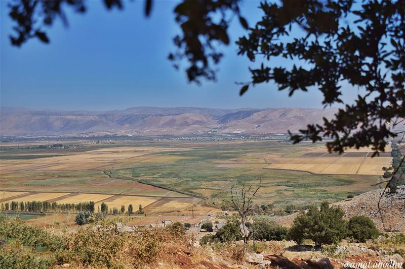 لا يهم الى اي مدى ستهرب،، فالمسافة وحدها لا تحل المشكلات 👌  lebanon ... (Beqaa Valley)