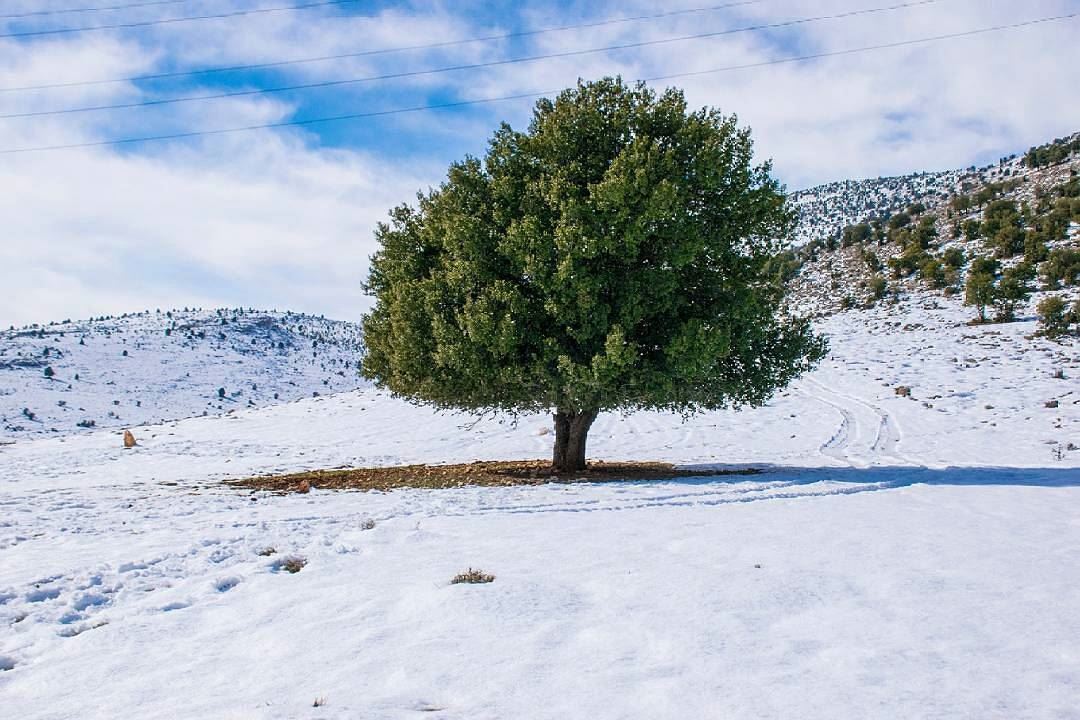 لبنان يا أخضر حلو عَ تلالPhoto credits to @atef_fahda-------------------- (El Hermel, Béqaa, Lebanon)