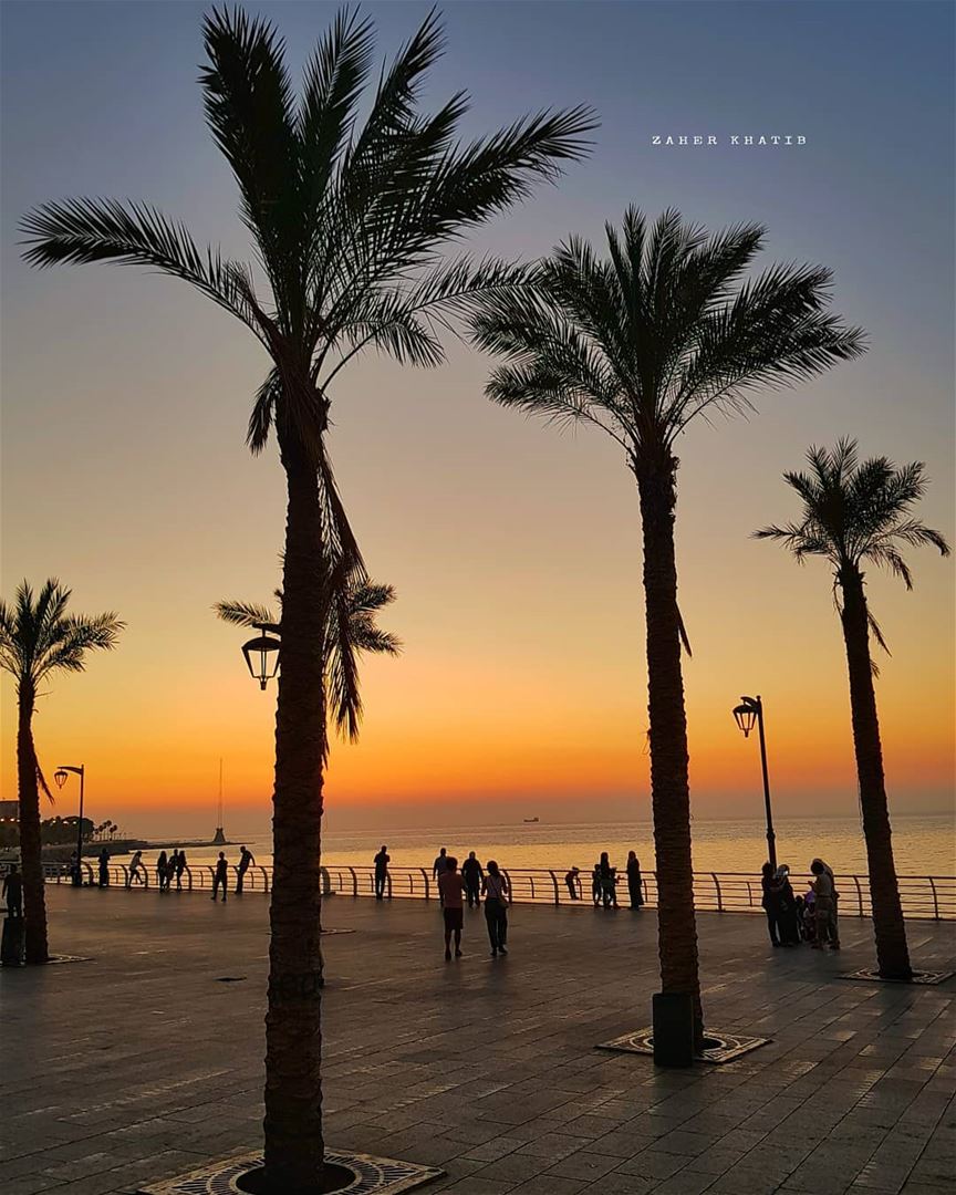 لم تزل شرفة.. هناكفي بلادي، ملوحةويد تمنح الملاكأغنيات، و أجنحةالعصافير (Beirut, Lebanon)