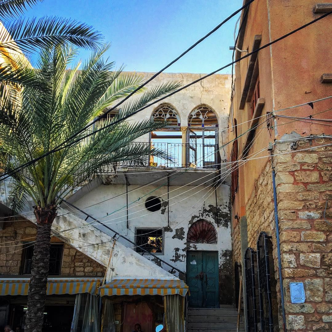 لو شِبَّاكِكْ عَشِبَّاكي 🏘 livelovepic  livelovebeirut  livelovelebanon ... (Tyre Fishermen Port.)