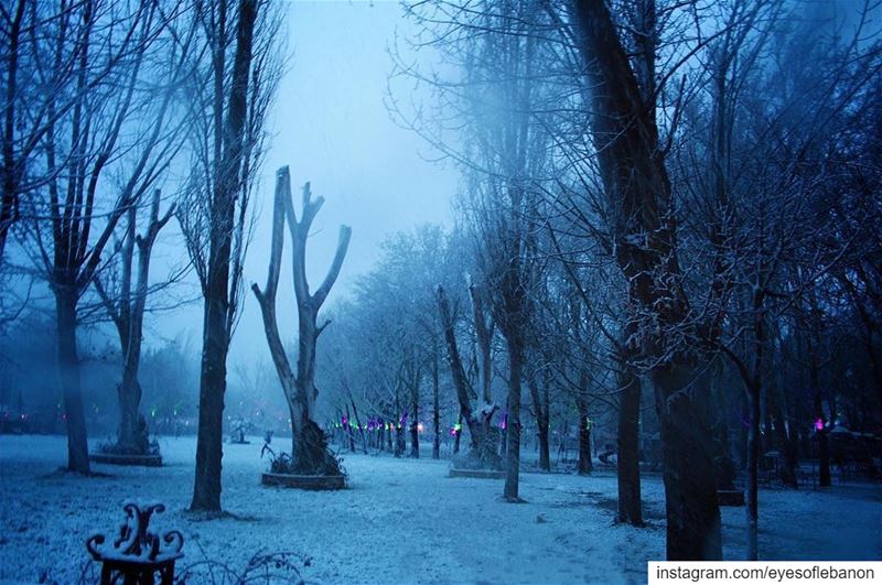 لوحة جميلة من بعلبك 😍・・・Baalbeck this evening 😍❄️♥️📷 credits to @jana (Baalbek, Lebanon)