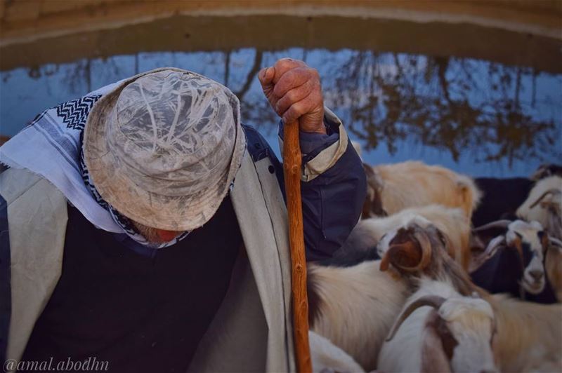 ما أبشع المخلوق اللذي يخلو قلبه من الهم،، التعب وحده هو  زارع الجمال في الح (حاصبيا)