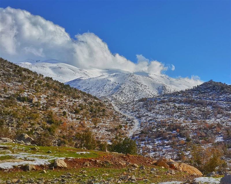 ما بين شتاءٍ،، و ربيع 👌...  حاصبيا جبل_الشيخ 📷  snow  nature_perfection...