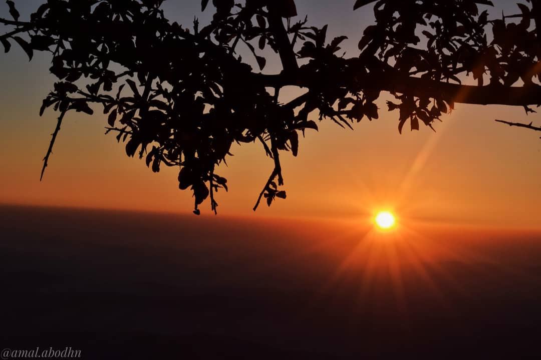 مثل شمس الغروب،،، راحل ومريح في آن واحد👌👌 lebanon  photography ...