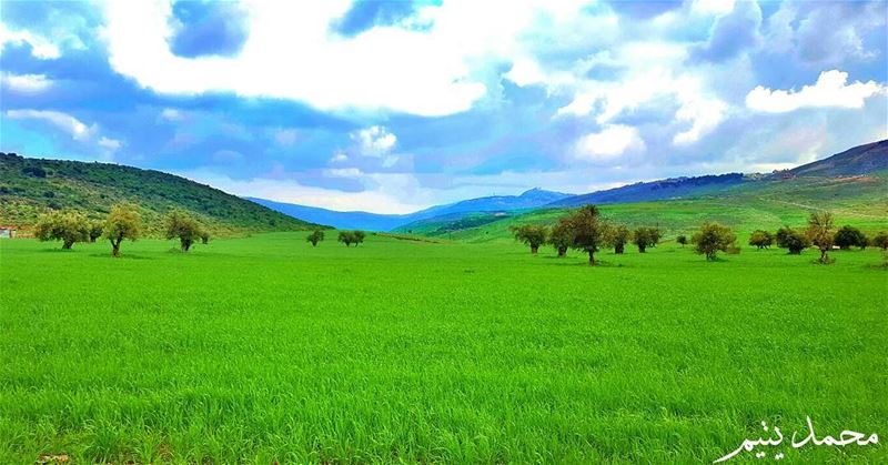 مسا الجمال ..و أزهر الربيع جماله في أرض الجنوب ..  كفرمان 🌸🌼 spring ...