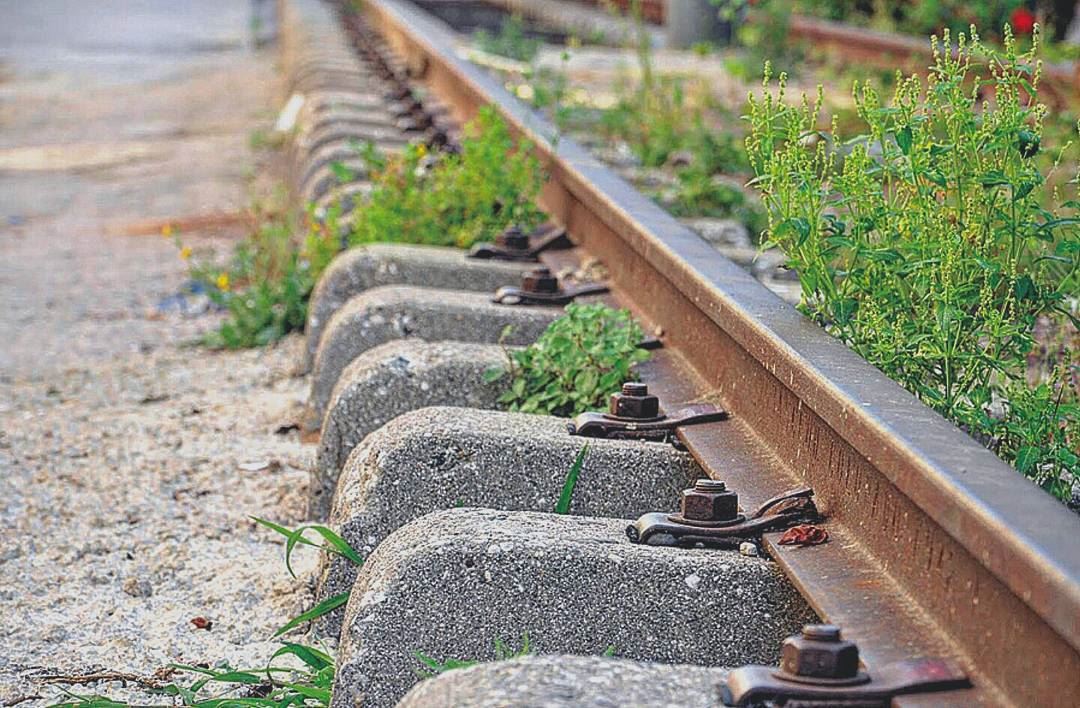 مشوار رايحين مشوار .. 🚂_______________________________________ lebanon ...