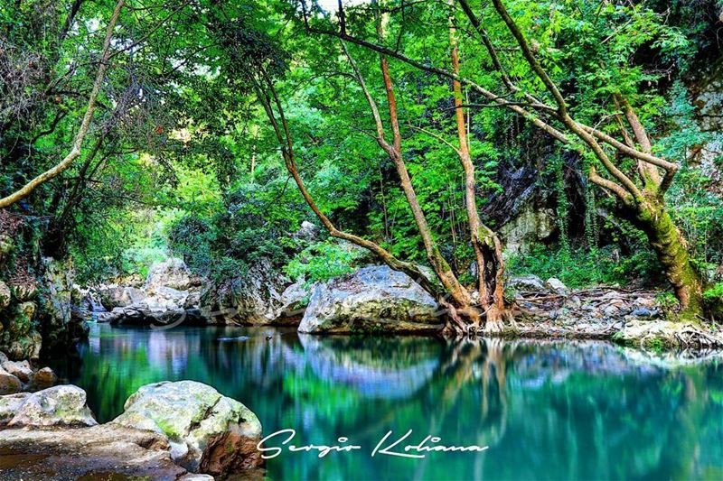 معاكسة. sergio_koliana_photography  meetlebanon  mylebanon ... (Yahchouch)