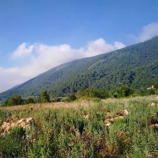 منظر عكّاري..💚————————————————— green  nature  mountains  village  sky ... (`Akkar, Liban-Nord, Lebanon)