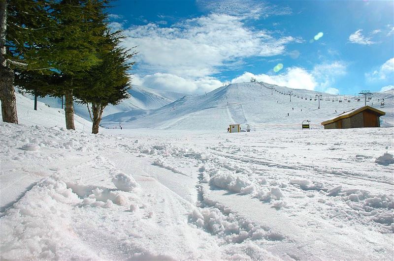 مين مشتاق لل  الثلج 🙃  صباح_الخير من  فاريا  لبنان ..  الأبيض يليق بك 😁 ... (Lebanon)