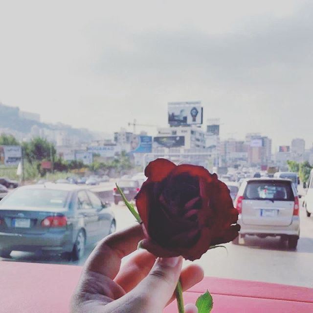 نهاركم سعيد من  لبنانGood morning from ...