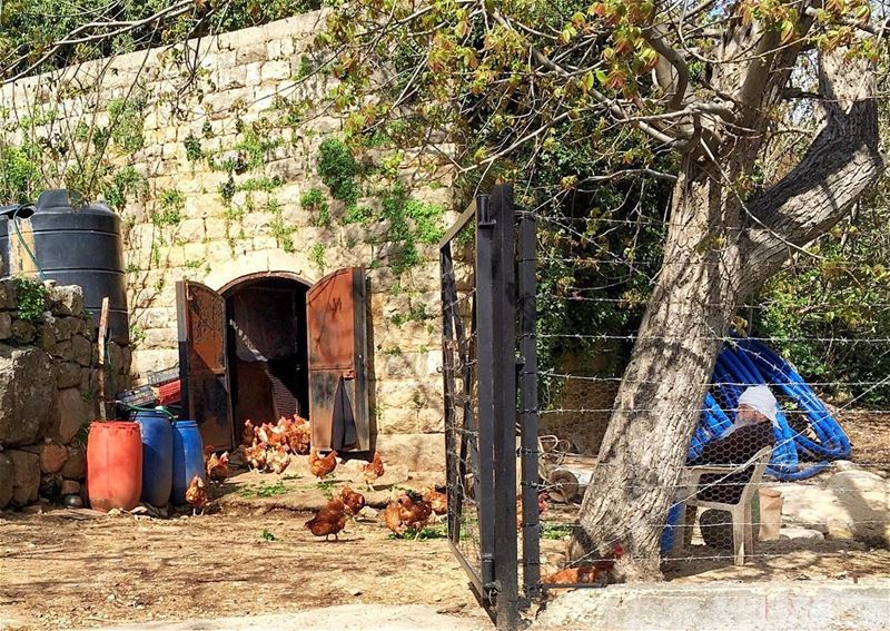 و كل غفوة تحت  هالفيّة...بتسوى الدني و كل ما فيها (Moukhtara- al Shouf)