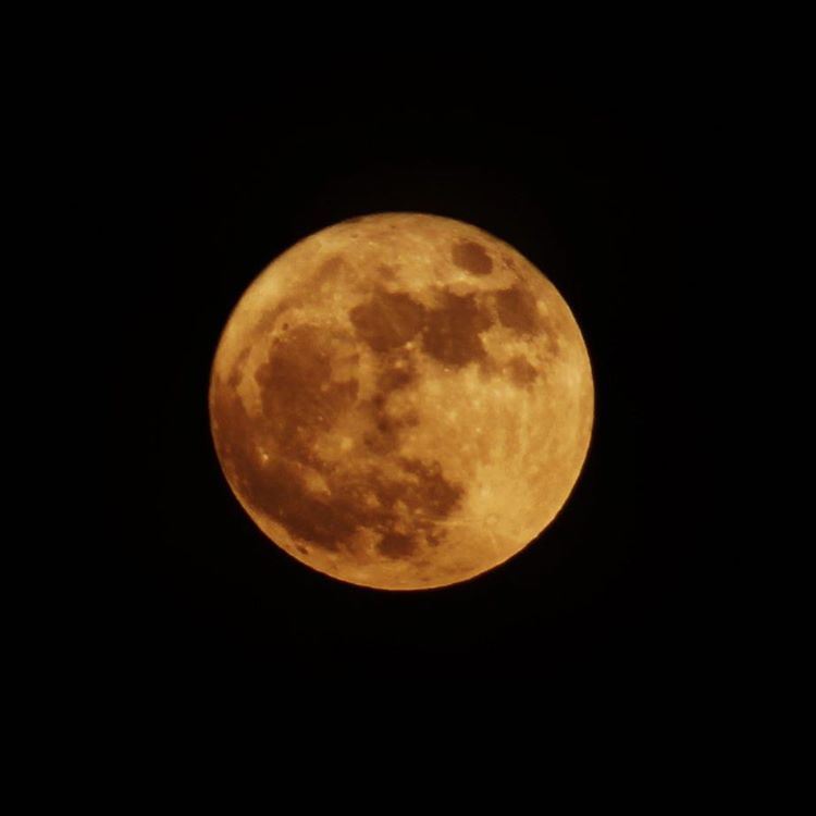 و كلٌ في فلكٍ يسبحون bigmoon  moon  moonology  nature  yellow  fullmoon ...