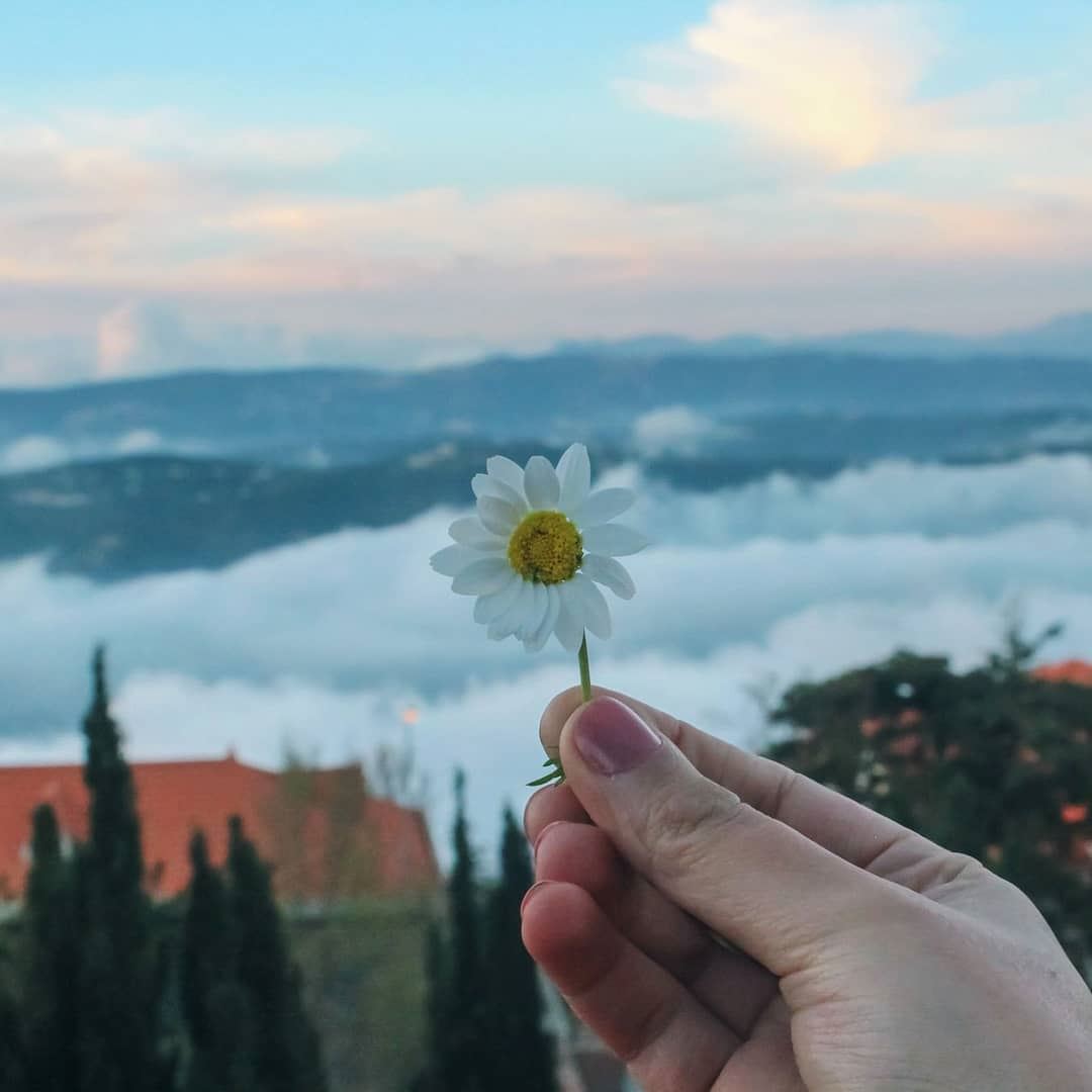 ويا جبل الشيخ .. يا قصر الندي 🌼⛰☁️ لبنان  فيروز