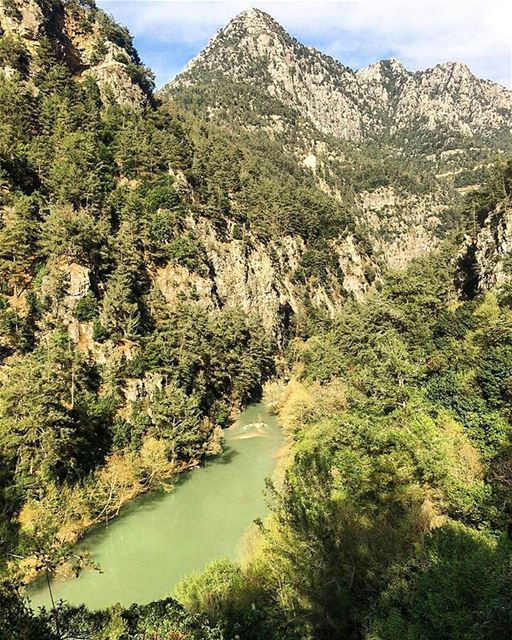 يا جبال العليانة ..العليانة حاكيني 💚🗻  لبنان.... lebanon  spring ... (نهر شوان)