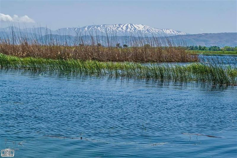 يا جبل البعيد خلفك حبايبنا بتموج متل العيد و همك متعبنا  ammiq ...