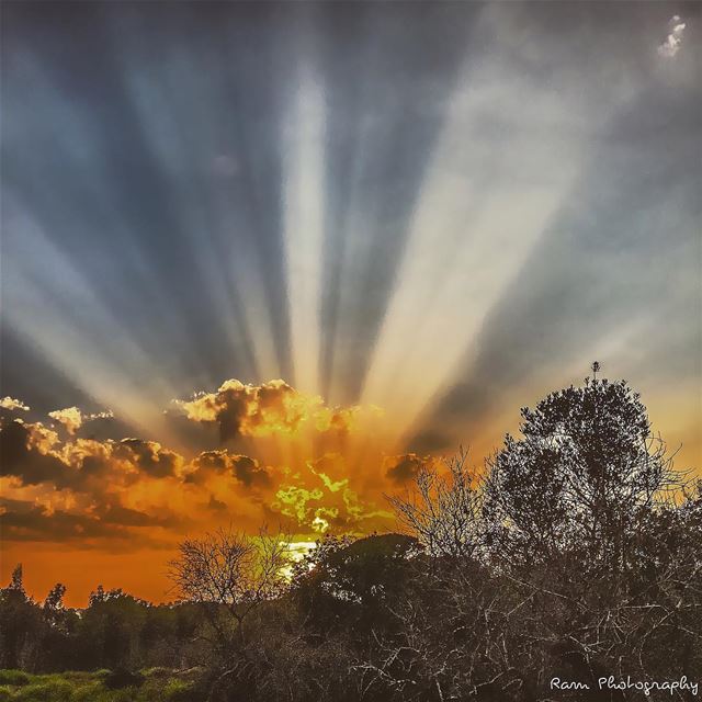 يا موسم الخريف شو جايب معك..؟ يا ورق الرصيف أنا جايي ودعك.. يا ريح البارد ي (Bechmezzîne, Liban-Nord, Lebanon)