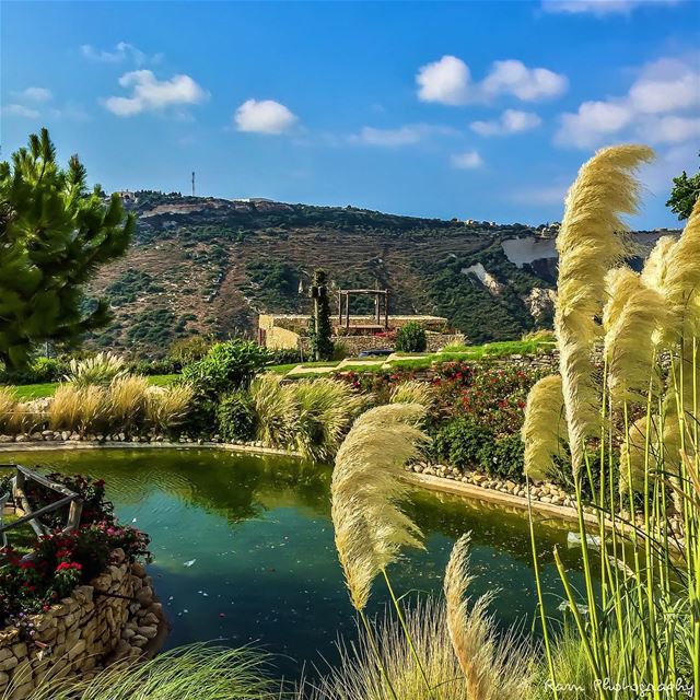 يزورنا الصباح مُذهّب الأماني نديّ الجناح.. يزورنا الصباح بزهوة الأغاني وفيض (Arnaoon Village)