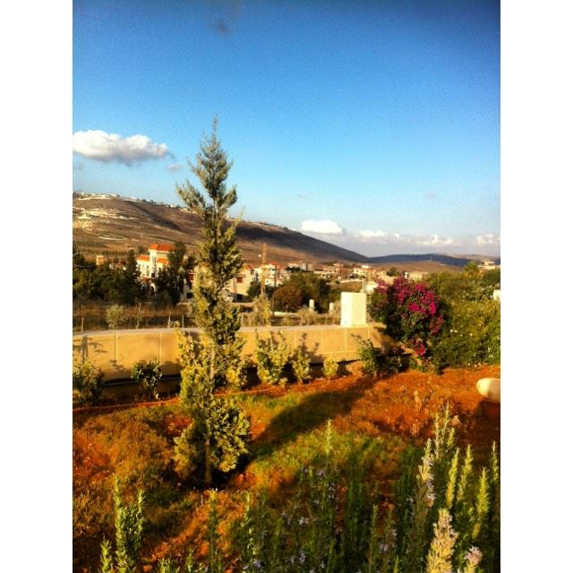 🍃🌿🌱☁️⛅️ Simplyaroun