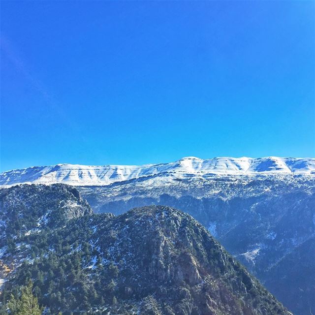 ❄️