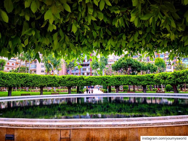 ☘️For the love of green ☘️⛲ (Beirut, Lebanon)