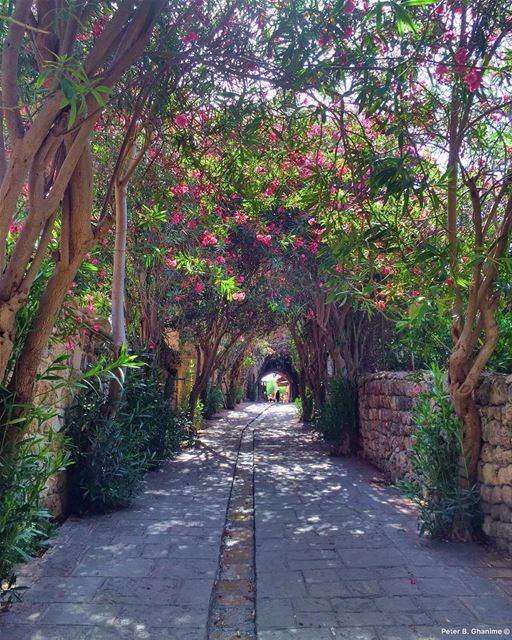 ▪️Rise Up ◾️Start Fresh ◼️See the Bright Opportunity in Each New Day ... (Byblos, Lebanon)